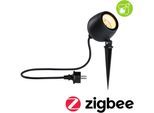 LED Gartenleuchte PAULMANN "Outdoor 230V Spot Kikolo Insect friendly ZigBee", grau (anthrazit), H:26,1cm T:8,5cm Ø:9cm, Leuchten, LED Gartenleuchte, Insektenfreundlich