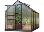 Gewächshaus VITAVIA "Venus 6200", schwarz, B:195cm H:197cm T:321cm, Gewächshäuser, Gewächshaus, Alu-Profile, 6 mm Hohlkammerplatten