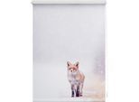 Seitenzugrollo LICHTBLICK ORIGINAL "Klemmfix Motiv Fuchs im Schnee" Gr. 7, rot (weiß, rot, weiß), B:120cm H:150cm, Polyester, Rollos, Seitenzugrollo, bedruckt