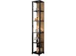 Vitrine FIF MÖBEL "OPTIMA", schwarz (schwarz, wildeiche), B:31,5cm H:172cm T:32cm, Holzwerkstoff, Sicherheitsglas ESG, Schränke, Vitrine, Standvitrine, Vitrinenschrank, Glasvitrine, Sammlervitrine