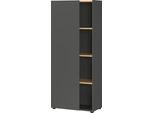 Aktenschrank GERMANIA "Adrano", grau (graphit, navarra, eiche, nachbildung), B:61cm H:145cm T:34cm, Holzwerkstoff, Schränke, Aktenschrank, passend für Ordner, in 2 Höhen, beidseitig montierbar, Made in Germany