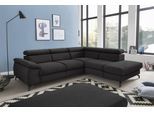 Ecksofa COTTA "Kitty L-Form, B: 249 cm", schwarz (charcoal), B:249cm H:72cm T:207cm, Microfaser (100% Polyester);Flachgewebe (100% Polyester), Sofas, Ecksofa, mit Kopfteilverstellung, optional Bettfunktion & Bettkasten