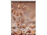 Seitenzugrollo LICHTBLICK ORIGINAL "Rollo Klemmfix, ohne Bohren, blickdicht, Kaffee - Braun", braun (braun, weiß), B:80cm H:150cm, Polyester, Rollos, Seitenzugrollo