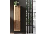 Midischrank WELLTIME, braun (wotaneiche), B:30cm H:130cm T:35cm, Holzwerkstoff, Schränke, Midischrank, Welltime, Breite 30 cm, reversibel, 1 Tür, gedämpft