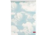 Seitenzugrollo LICHTBLICK ORIGINAL "Klemmfix Motiv Wolken" Gr. 7, blau (blau, weiß), B:120cm H:150cm, Polyester, Rollos, Seitenzugrollo, bedruckt