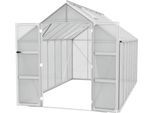 Gewächshaus VITAVIA "Domus 11500", silber (silberfarben), B:257cm H:253,9cm T:449cm, Gewächshäuser, Gewächshaus, mit Doppelschwingtüren und bodentiefer Türschwelle, 6 mm Hohlkammer