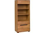 Vitrine HOME AFFAIRE "Vitrine LOLA B/T/H: 62,5/40,5/146,5cm", braun, B:62,5cm H:146,5cm T:40,5cm, FSC-zertifizierter Holzwerkstoff, Furnier, Massivholz, Schränke, Vitrine, Eiche teilmassiv, Türen mit dampfer