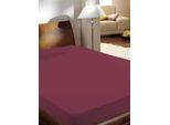 Spannbettlaken PRIMERA "Luxus-Satin", bordeaux, B:100cm L:200cm, Satin, Obermaterial: 100% Baumwolle, Bettlaken, Spannbettlaken, in hochwertiger Qualität