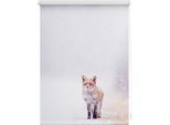 Seitenzugrollo LICHTBLICK ORIGINAL "Klemmfix Motiv Fuchs im Schnee" Gr. 5, rot (weiß, rot, weiß), B:90cm H:150cm, Polyester, Rollos, Seitenzugrollo, bedruckt