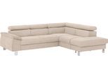 Ecksofa COTTA "Komaris L-Form, B: 249 cm", beige, B:249cm H:72cm T:100cm, Microfaser PRIMABELLE (100% Polyester);Kunstleder SOFTLUX;Feinstruktur (100% Polyester);Kunstleder SOFTLUX/Struktur (100% Polyester);NaturLEDER, Sofas, Ecksofa, mit Kopfteilverstellung, optional Bettfunktion, Bettkasten & Licht