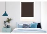 Seitenzugrollo MYDECO "Win" Gr. 1, braun (braun, weiß), B:100cm H:160cm, Polyester, Rollos, Seitenzugrollo, bis Breite 120cm