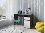 Schreibtisch HOME AFFAIRE "Tinsley", grau (grau, weiß, grau, grau), B:120cm H:76cm T:53cm, Tische, Schreibtisch, mit Schublade, und Tür, Breite 120 x53 cm