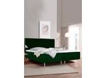 Boxspringbett HOME AFFAIRE "Exclusive", grün, B:181cm L:208cm, Samtoptik (100% Polyester), Komplettbetten, Boxspringbett, inkl. Topper, 3 Breiten, 3 Härtegrad-Ausführungen