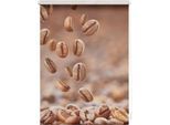 Seitenzugrollo LICHTBLICK ORIGINAL "Rollo Klemmfix, ohne Bohren, blickdicht, Kaffee - Braun", braun (braun, weiß), B:120cm H:150cm, Polyester, Rollos, Seitenzugrollo