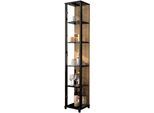 Vitrine FIF MÖBEL "OPTIMA", schwarz (schwarz, wildeiche), B:31,5cm H:172cm T:32cm, Holzwerkstoff, Sicherheitsglas ESG, Schränke, Vitrine, Standvitrine, Vitrinenschrank, Glasvitrine, Sammlervitrine