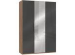 Kleiderschrank WIMEX "Level by fresh to go", grau (plankeneichefarben, grauglas), B:150cm H:216cm T:58cm, Schränke, Kleiderschrank, mit Glas- und Spiegeltüren