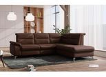 Ecksofa SIT & MORE "Astoria L-Form", braun (dunkelbraun), B:256cm H:91cm T:225cm, 100% Polyester, Sofas, Ecksofa, wahlweise mit motorischer Relaxfunktion