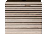 TV-Schrank INNOSTYLE "INA TV-Lowboard, 60 x 51 x 44 cm (B/H/T)", schilfgrün, artisan eiche, B:60cm H:51cm T:44cm, ABS-Kunststoff, Holzwerkstoff, MDF, Metall, Schränke, TV-Schrank, stehend/hängend verwendbar, 1 türig, Softclose
