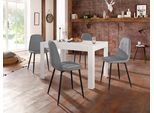 Essgruppe OTTO HOME, grau (weiß, grau), B:120cm, Sitzmöbel-Sets, Essgruppe, mit Esstisch 120 cm breit