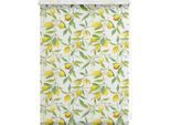 Seitenzugrollo LICHTBLICK ORIGINAL "Rollo Klemmfix, ohne Bohren, Verdunkelung, Limone - Gelb Grün", gelb (gelb, grün, weiß), B:60cm H:150cm, Polyester, Rollos, Seitenzugrollo