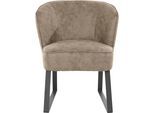 Sessel EXXPO - SOFA FASHION "Americano, Loungesessel", braun (cognac), B:66cm H:80cm T:69cm, Sessel, Sessel, mit Keder und Metallfüßen, Bezug in verschiedenen Qualitäten, 1 Stck.