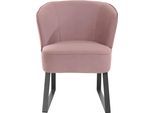 Sessel EXXPO - SOFA FASHION "Americano, Loungesessel", pink (powder pink), B:66cm H:80cm T:69cm, Sessel, Sessel, mit Keder und Metallfüßen, Bezug in verschiedenen Qualitäten, 1 Stck.