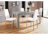 Essgruppe OTTO HOME "Lynn160/Brooke", grau (beton optik, weiß), Sitzmöbel-Sets, Essgruppe, Set: Tisch mit 4 Stühlen