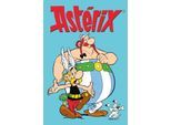 Leinwandbild LUCKYLINDE "Asterix, Obelix und Idefix", bunt (farbe bild(er): bunt), B:60cm H:90cm T:3cm, Holz, Leinwand, Bilder, Leinwandbild, Canvasbild Wanddeko Bild zum Film "Kampf der Häuptlinge"
