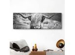 Wandbild REINDERS "Wandbild Highlander Bulle Tiermotiv - Nahaufnahme - Hochlandrind Bild", schwarz (farbe bild(er): schwarz, weiß), B:156cm H:52cm, MDF, Bilder, Wandbild