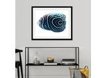 Bild QUEENCE "Dory", blau (farbe rahmen: schwarz, farbe bild(er): blau), B:50cm H:40cm, Acrylglas, Holz, Papier, Bilder, Bild, HD Premium Poster-Druck inkl. Holzrahmen