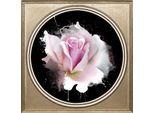 Acrylglasbild QUEENCE "Rose", grün (farbe bild(er): grün), B:40cm H:40cm T:2,4cm, Bilder, Acrylglasbild, Fine Art-Print in Galeriequalität