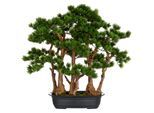 Kunstbonsai CREATIV GREEN "Bonsai Kiefer", grün, B:60cm H:60cm, Kunststoff, Kunstpflanzen, Kunstbonsai, mit detailgetreuer Gestaltung