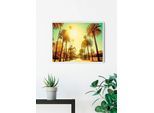 Bild KOMAR "Palm Alley", bunt (farbe bild(er): bunt), B:50cm H:40cm, Holz, Papier, Bilder, Bild, Wandbild zur Dekoration - ohne Rahmen