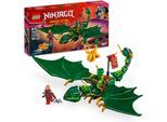 Konstruktionsspielsteine LEGO "Lloyds grüner Walddrache (71829), LEGO Ninjago", bunt, Spielbausteine, Kinder, Kunststoff, Konstruktionsspielsteine, Made in Europe