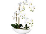 Kunstorchidee CREATIV GREEN "Phalaenopsis", weiß, H:60cm, Kunststoff, Kunstpflanzen, Kunstorchidee, im Keramikschiff