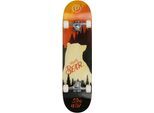 Skateboard PLAYLIFE "Mighty Bear", bunt (mehrfarbig), Skateboards, Skateboard
