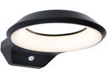 LED Außen-Wandleuchte PAULMANN "Anela 230V anthrazit IP44", grau (anthrazit), B:24,5cm H:7,1cm T:30,9cm, Leuchten, LED Außen-Wandleuchte