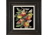 Leinwandbild QUEENCE "Äpfel", rot (farbe bild(er): rot), B:40cm H:40cm T:2cm, Canvas, Holzrahmen, Bilder, Leinwandbild, Premium-Leinwandstoff, Handarbeit aus Deutschland, 40x40cm