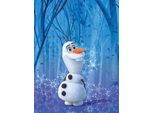 Bild KOMAR "Frozen Olaf Crystal", bunt (farbe bild(er): bunt), B:30cm H:40cm, Holz, Papier, Bilder, Bild, Wandbild zur Dekoration im Kinderzimmer - ohne Rahmen