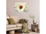 Wandsticker QUEENCE "White Love", weiß, B:120cm H:80cm T:0,1cm, Folie, Wandtattoos, Wandsticker, Selbstklebend, kinderleichte Anbringung