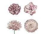 Wandtattoo QUEENCE "Mila", rosa, B:90cm H:90cm, Folie, Wandtattoos, Wandtattoo, Wandbild, Sticker, rosa, Blume, Blüte, selbstklebend