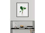 Bild QUEENCE "Plantago", grün (farbe rahmen: schwarz, farbe bild(er): grün), B:30cm H:40cm, Bilder, Bild