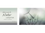 Leinwandbild QUEENCE "Natur", grau (farbe bild(er): grau), B:100cm H:40cm T:2cm, Canvas, Holzrahmen, Bilder, Leinwandbild, Premium-Leinwandstoff, Handarbeit aus Deutschland, Zitat, 2er Set