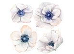 Wandtattoo QUEENCE "Mareike", blau, B:70cm H:70cm, Folie, Wandtattoos, Wandtattoo, Wandbild, Sticker, Blume, Blüte, selbstklebend