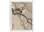Poster REINDERS "Ohara Koson Kohlmeisen auf Blütenzweig", beige (farbe bild(er): beige), B:60cm H:80cm T:0,1cm, Leinwand, Bilder, Poster, Outdoor für Garten oder Balkon
