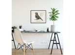 Bild QUEENCE "Passer domesticus", braun (farbe rahmen: schwarz, farbe bild(er): braun), B:70cm H:50cm, Acrylglas, Holz, Papier, Bilder, Bild, HD Premium Poster-Druck inkl. Holzrahmen