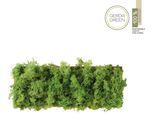 JUST LIGHT Wandleuchte "GREEN CARL", grün (moos), 6, H: 12cm, 1 Stk., Leuchten, Wandleuchte