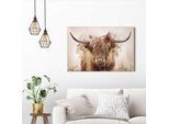 Wandbild REINDERS "Highlander in Blumen", beige (farbe bild(er): beige), B:60cm H:90cm T:3cm, MDF, Bilder, Wandbild