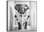 Poster REINDERS "Elephant Toilet", schwarz-weiß (farbe bild(er): schwarz, weiß), B:50cm H:50cm T:1,6cm, Bilder, Poster, Toilette - WC - Zeitung - Schwarz-Weiß - MDF - Tiere - 50x50 cm