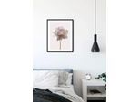Bild KOMAR "Rose", rosa (farbe bild(er): rosa), B:40cm H:50cm, Holz, Papier, Bilder, Bild, Wandbild zur Dekoration - ohne Rahmen